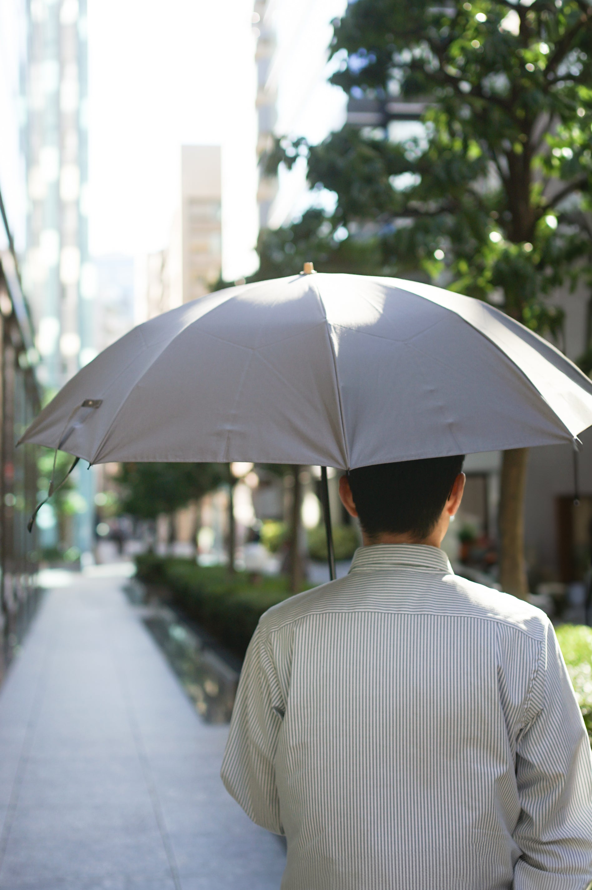 コットンローンシェードmen 折りたたみ傘 55cm 8本骨