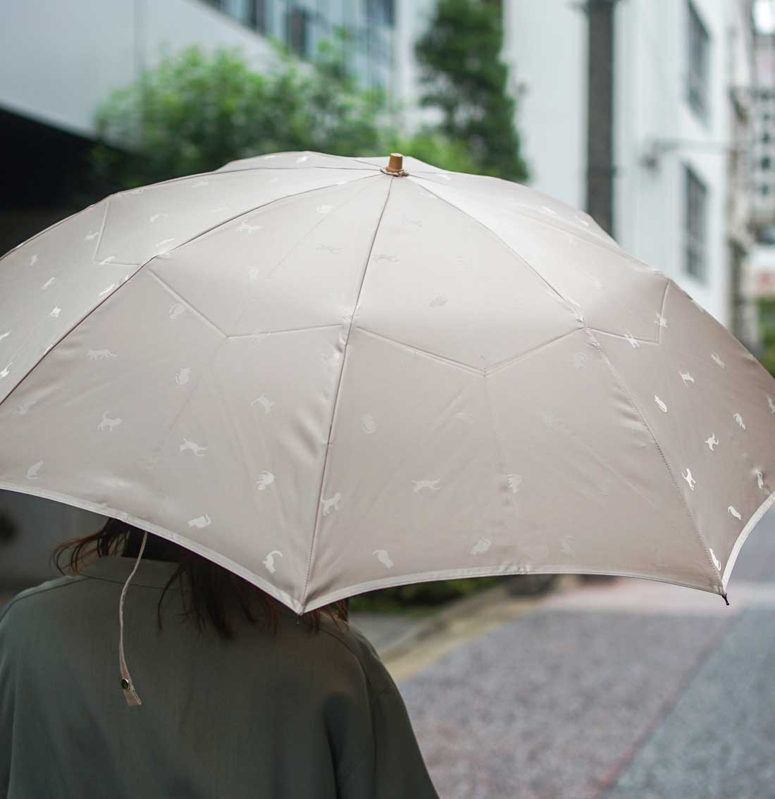 ひだまりねこ 折りたたみ傘 55cm 8本骨