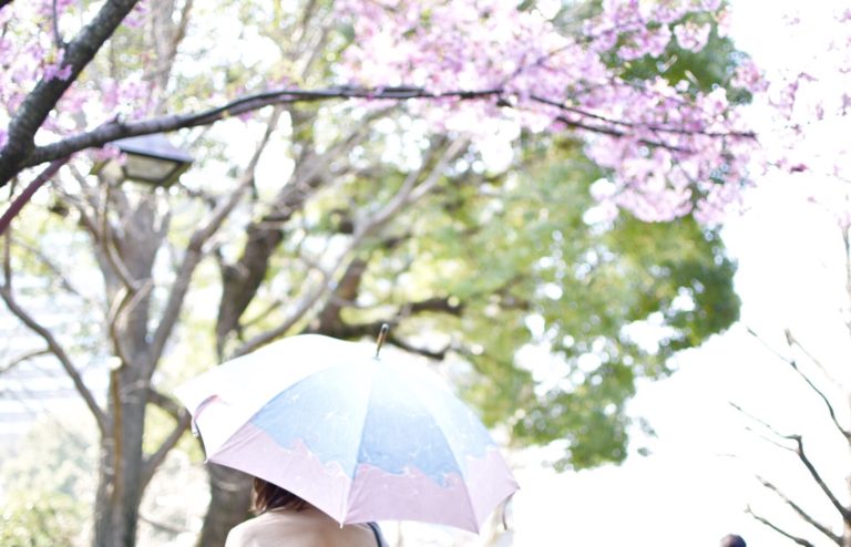墨流し染 晴雨兼用傘が新登場です！ | 傘専門店 小宮商店