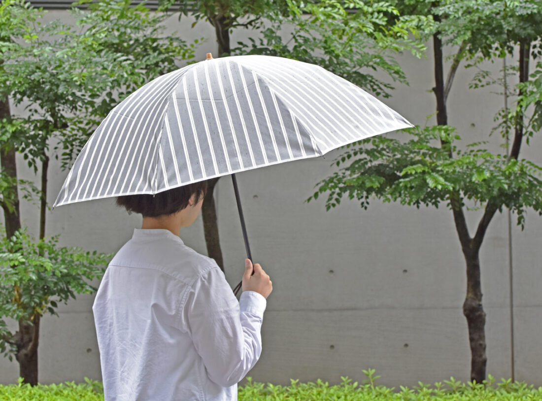 絹紬シリーズに55cm8本骨の長傘・折りたたみ傘が新登場です。 | 傘専門